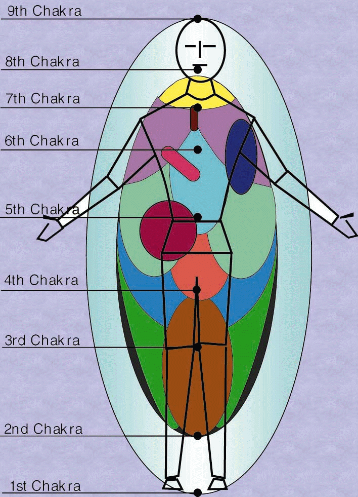 The nine Chakras of the human energy system.