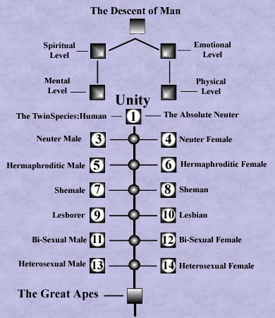 how man split into male and female as he descended