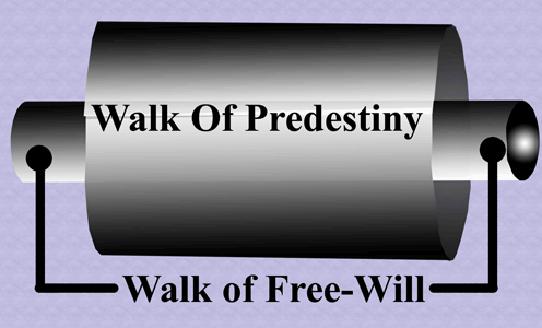 predestiny or free will